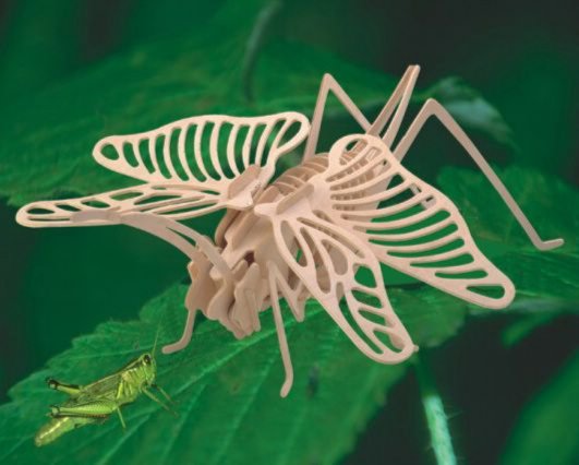 Насекомое Саранча /09779/ Wooden Toy Насекомое Саранча /09779/ Wooden Toy