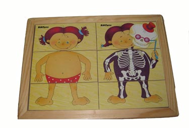 Картинки разрезные Анатомия /01019/РнТойс Картинки разрезные Анатомия /01019/РнТойс