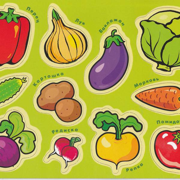 Магнит. Мои первые слова. Овощи, фрукты, ягоды /12421/Дрофа Магнит. Мои первые слова. Овощи, фрукты, ягоды /12421/Дрофа