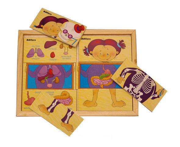 Картинки разрезные Анатомия /01019/РнТойс Картинки разрезные Анатомия /01019/РнТойс